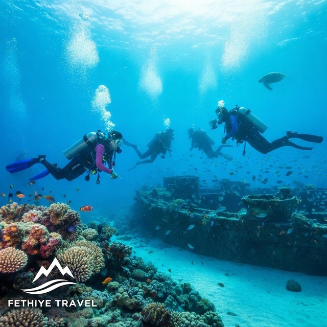 Дайвинг в Фетхие — подводный мир и лучшие места